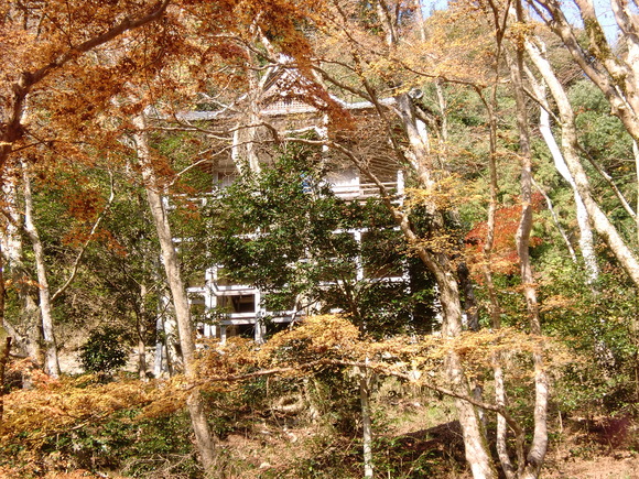 d0154954_1016289.jpg