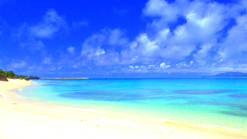 b0002156_0212557.jpg