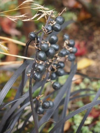 b0246758_20512757.jpg