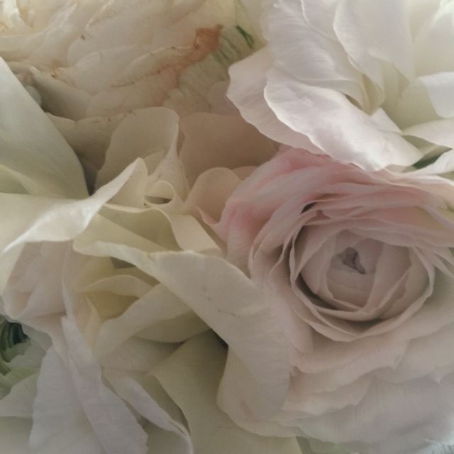 e0201358_00253553.jpg