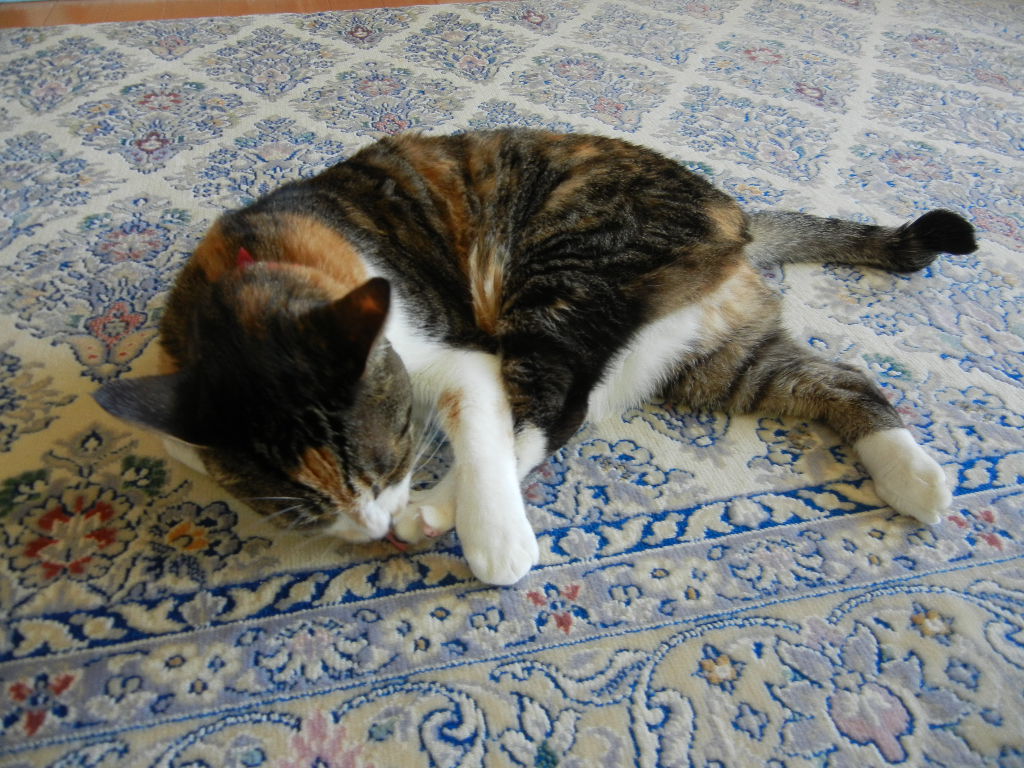 f0060461_10411428.jpg