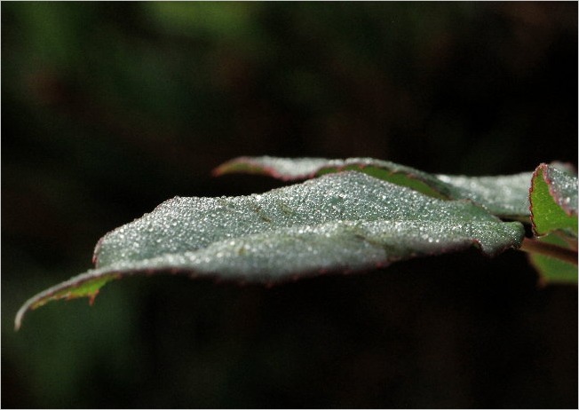 f0181173_22502613.jpg