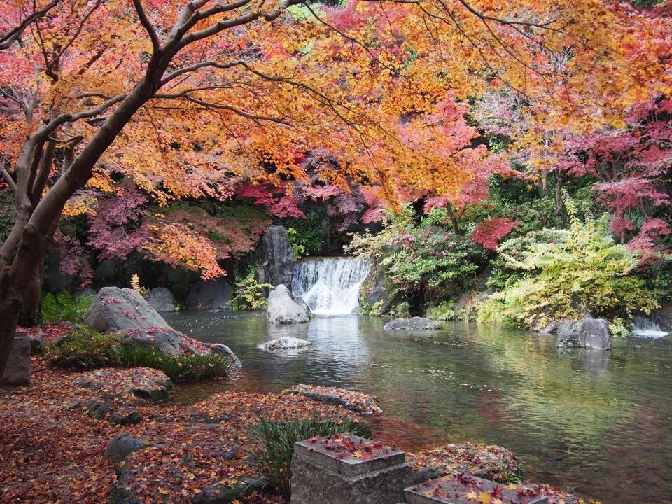 c0024980_21432091.jpg