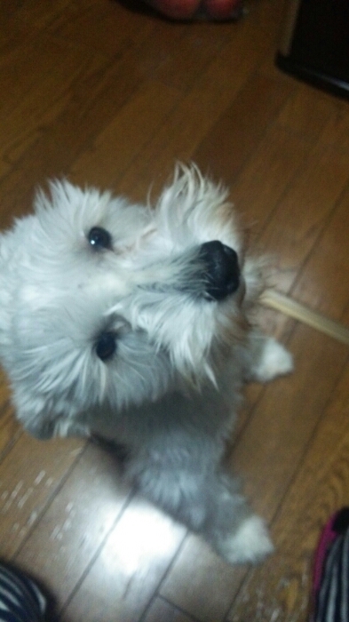 c0348784_19381350.jpg