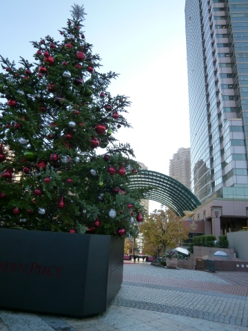 c0310987_12352794.jpg