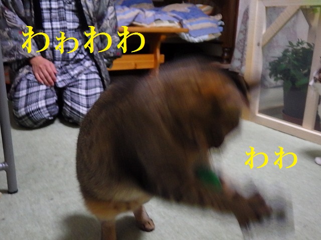 a0159490_18315840.jpg