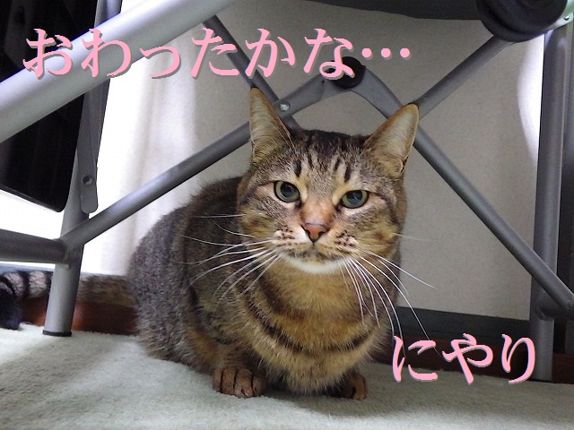 a0159490_1832237.jpg