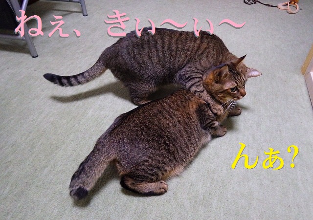 a0159490_18334231.jpg