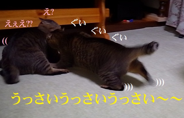 a0159490_1834888.jpg