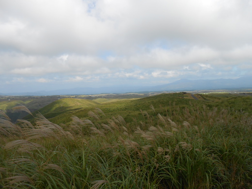 d0257690_1711865.jpg