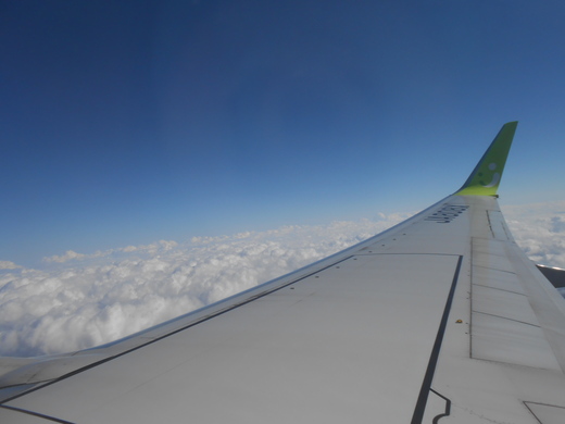 d0257690_1719949.jpg