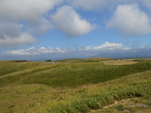 d0257690_1751473.jpg