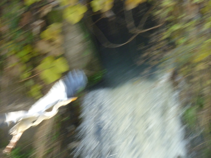 d0333091_18235070.jpg