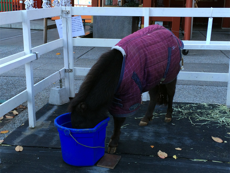 a0207595_21465734.jpg