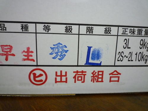 a0231900_10162133.jpg
