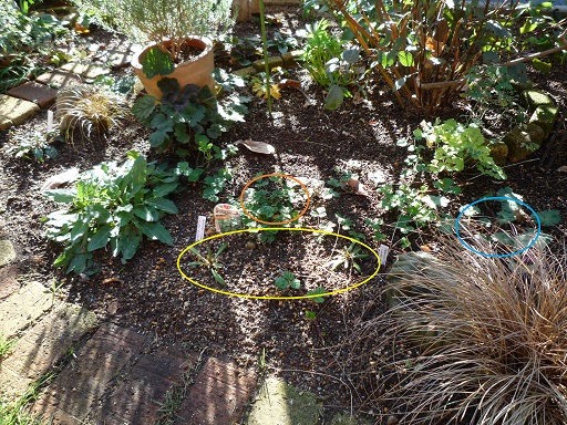 e0234004_20405115.jpg