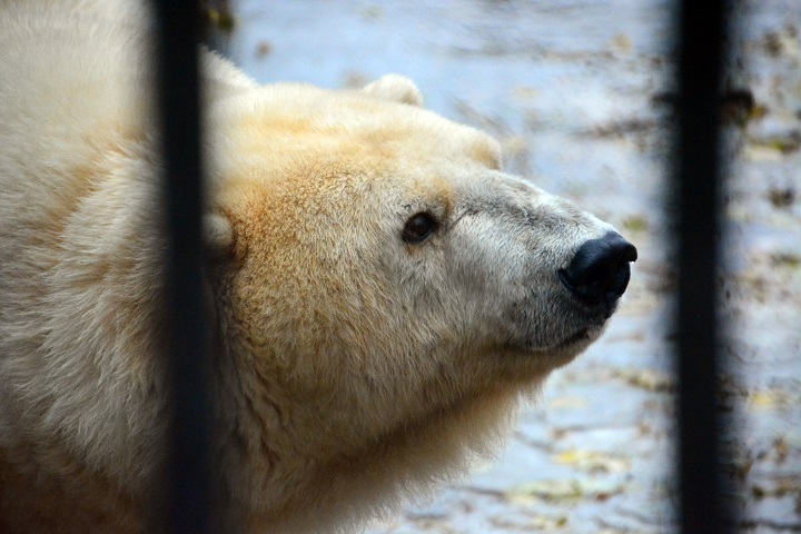 a0151913_0474016.jpg