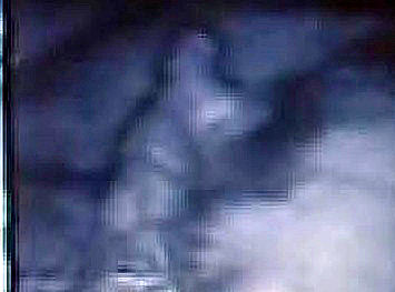 a0151913_20364143.jpg