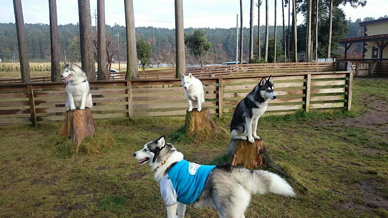b0207615_12552414.jpeg