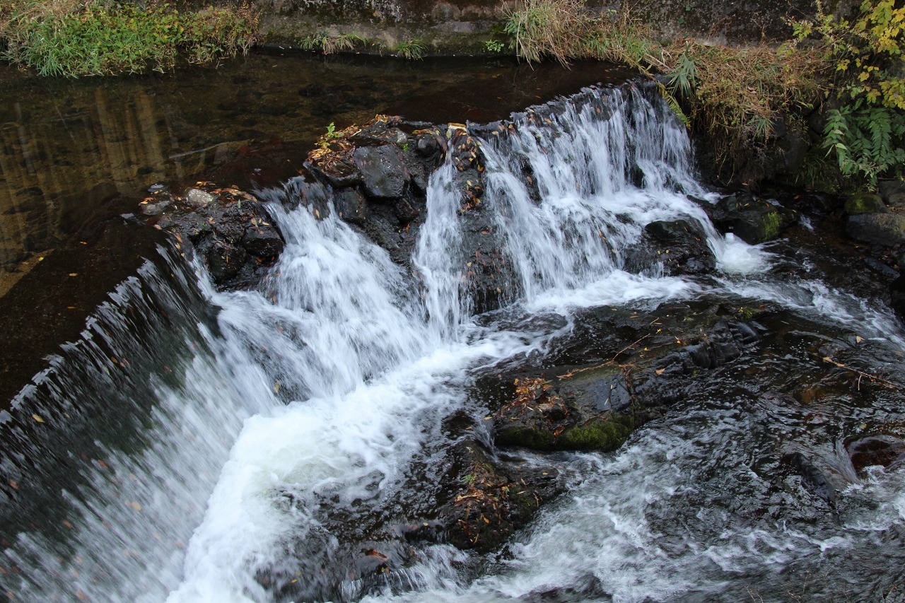 b0162728_19375081.jpg