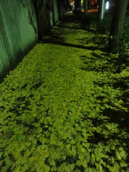 c0147935_20534891.jpg