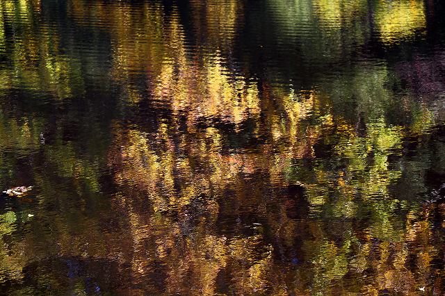 a0242438_19293160.jpg