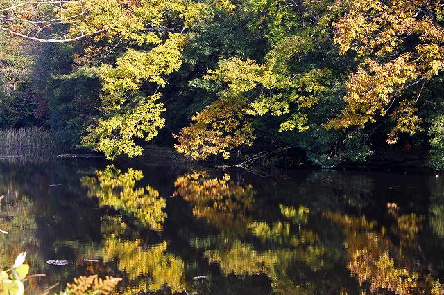 a0242438_1930131.jpg