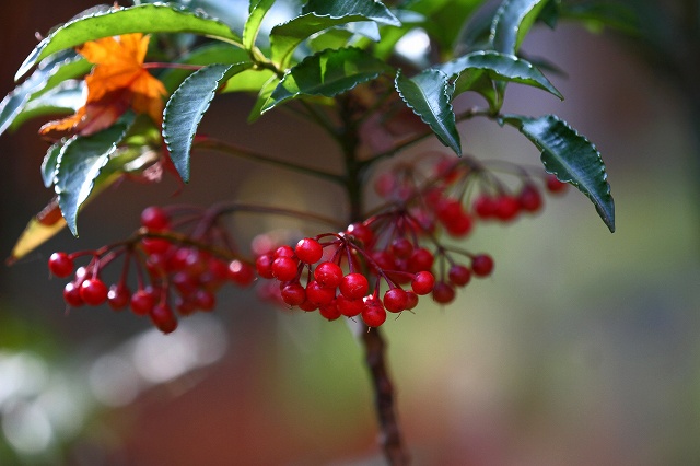 a0242438_19315596.jpg