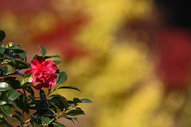 a0242438_1932010.jpg
