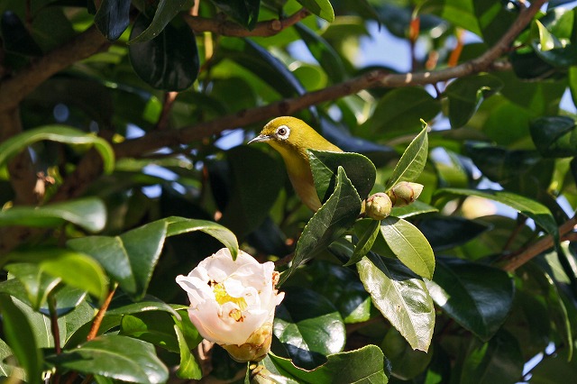 a0242438_1933859.jpg