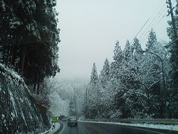 a0272241_22113350.jpg