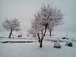 a0272241_22143065.jpg