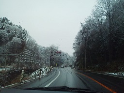 a0272241_227980.jpg