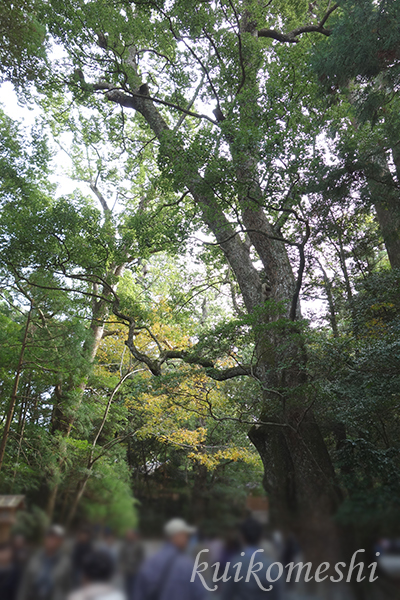 a0135743_2134569.jpg