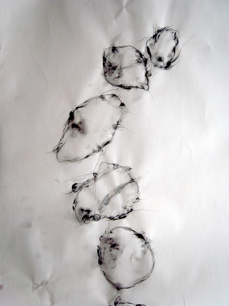f0159344_173805.jpg