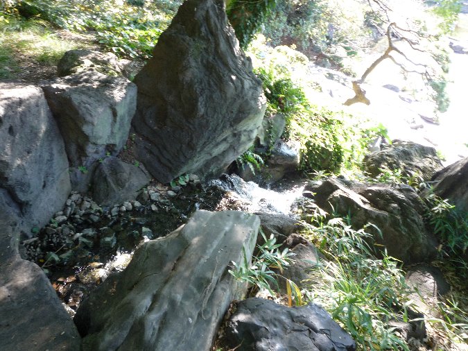 d0048750_97060.jpg