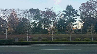 e0225164_7543145.jpg