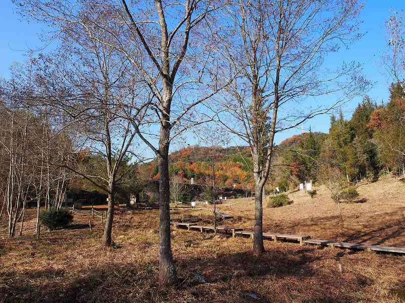 d0128465_91723.jpg