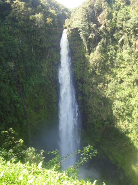 d0147774_1733955.jpg