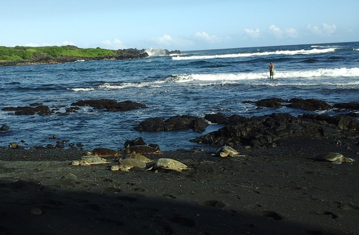 d0147774_19183890.jpg
