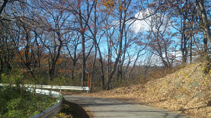f0131183_10514065.jpg