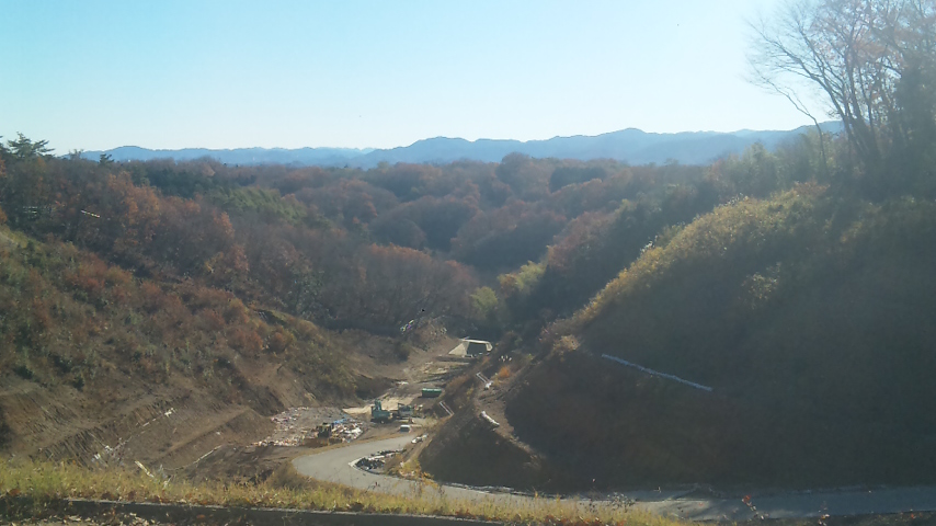 f0131183_1053943.jpg