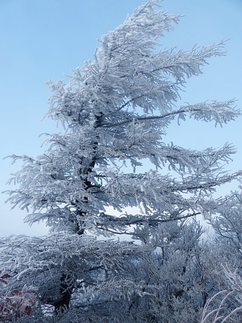 f0357487_14534971.jpg