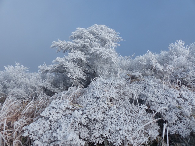 f0357487_14563349.jpg
