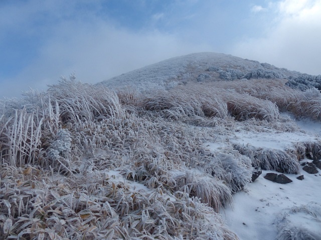f0357487_14571032.jpg