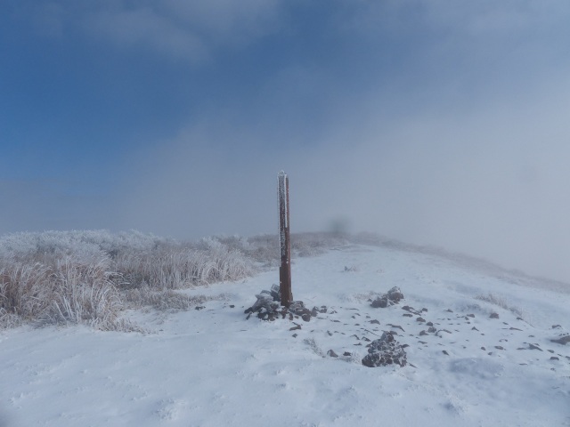 f0357487_14581445.jpg