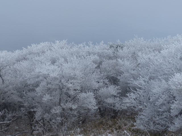 f0357487_22584670.jpg