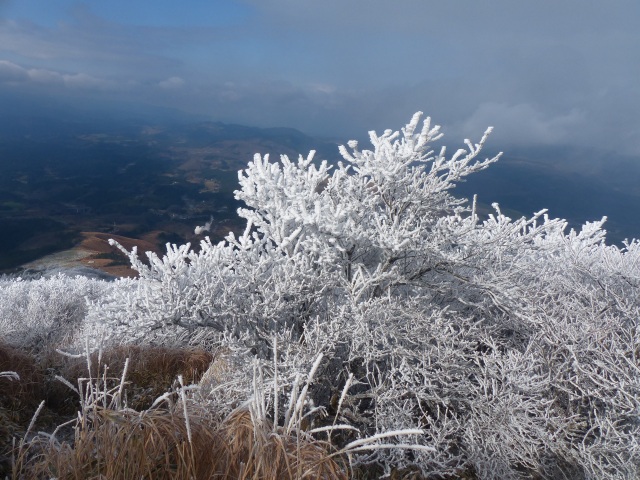 f0357487_22591785.jpg