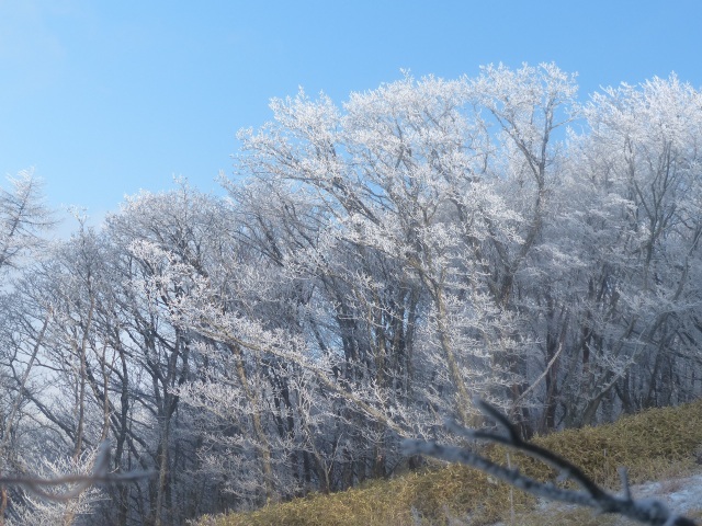 f0357487_2259457.jpg