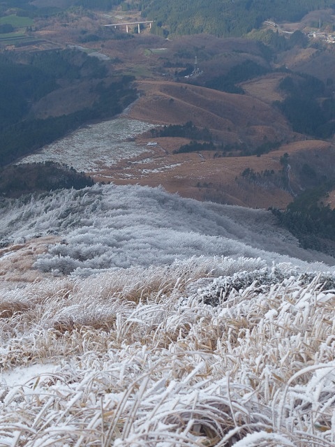 f0357487_2355786.jpg